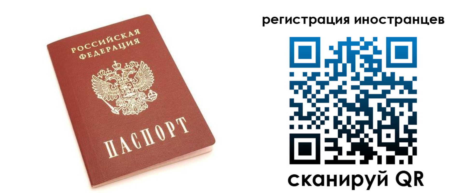 прописка поиск в Владивостоке